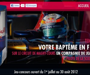 Red Bull vous offre un baptême F1 avec Jean-Eric vergne