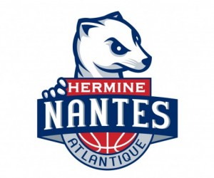 Offre Emploi : Chargé(e) de communication et marketing – Nantes Basket Hermine