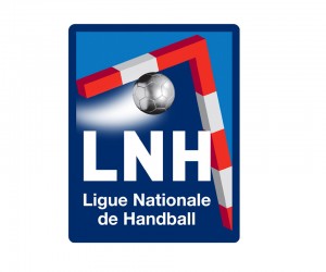 Offre Emploi : Directeur Marketing et Communication (H/F) Ligue Nationale de Handball (CDI)