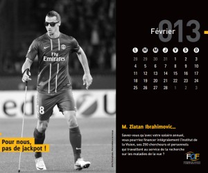 Ibrahimovic et N.Karabatic dans le calendrier 2013 de la Fédération des Aveugles de France