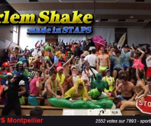 Le Harlem Shake STAPS Montpellier élu « Meilleur Harlem Shake made in STAPS »