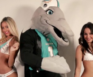 Les Cheerleaders des Miami Dolphins et la mascotte T.D. rejouent le clip de Robin Thicke « Blurred Lines »