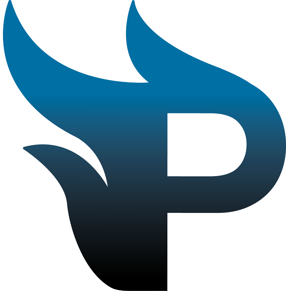 agence panenka logo