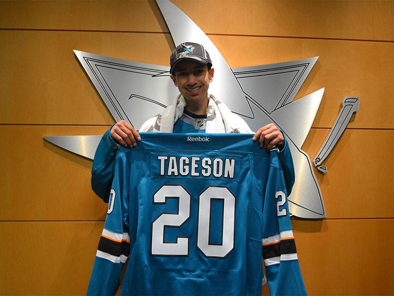 tageson san jose sharks NHL fan experience