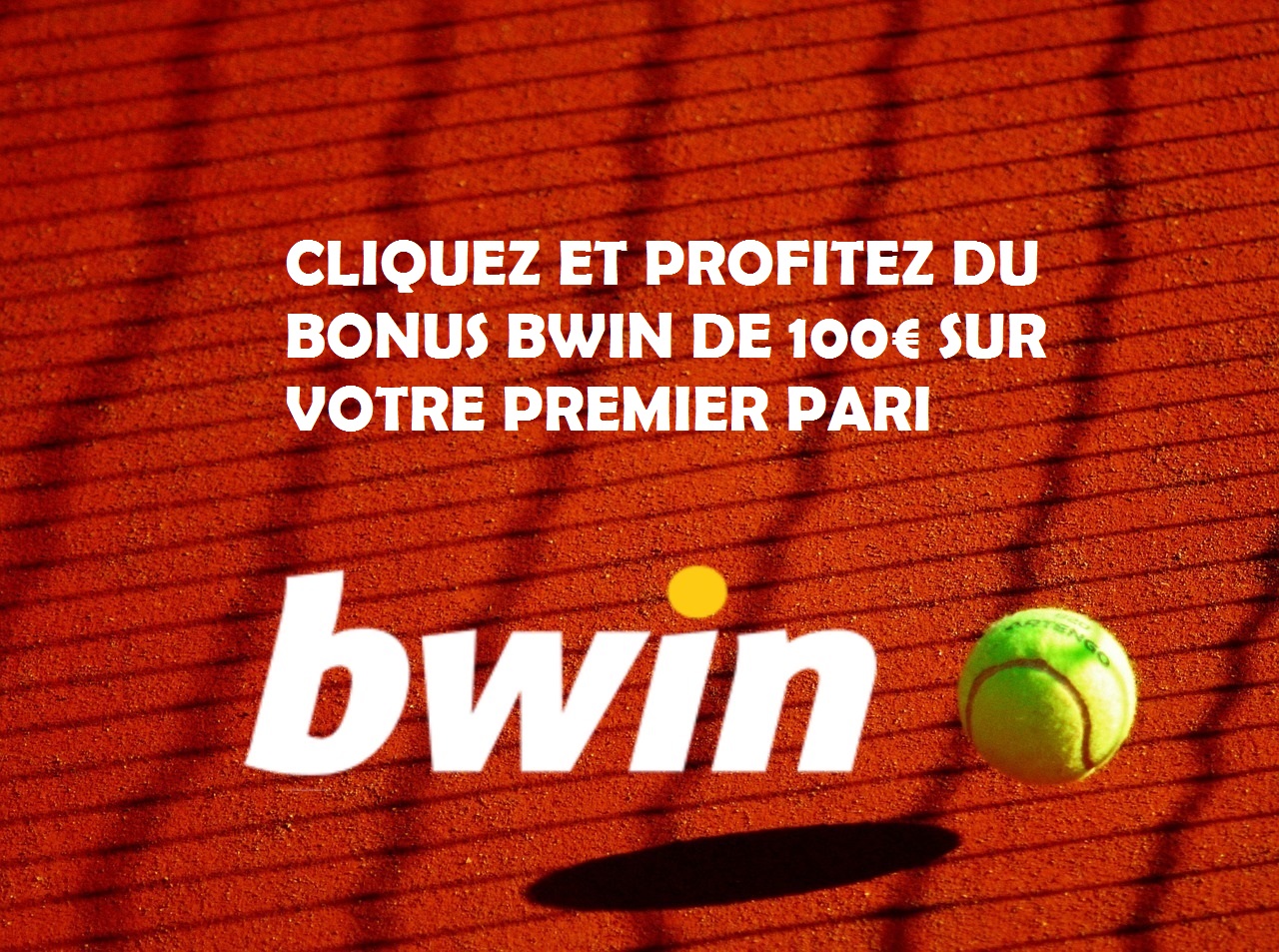 bwin coupe davis finale france suisse