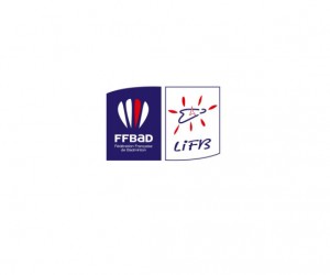 Offre de Stage : Chargé du projet Bad Tour 2015 – Ligue Ile-de-France de Badminton