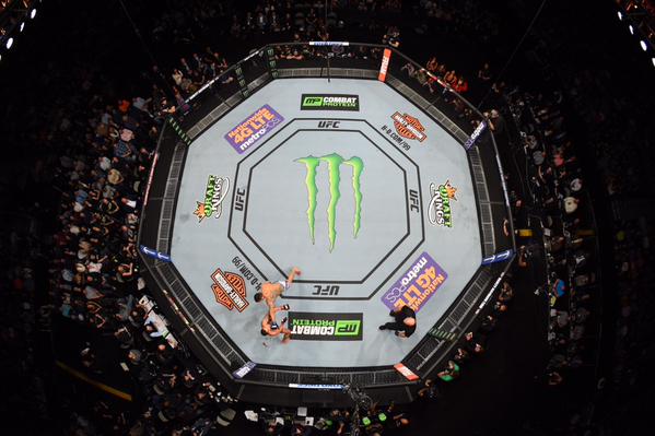 UFC Monster Energy drink sponsorship octagon