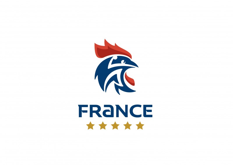 nouveau logo Fédération française handball équipe masculeine