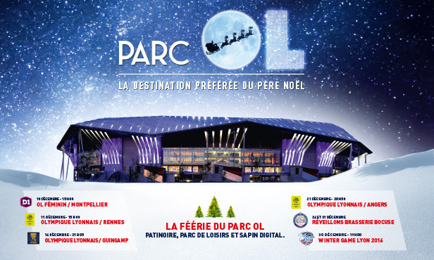 parc-ol-hiver-2016-sapin-patinoire