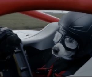 The Chemical Brothers signe la nouvelle chanson de la Formule 1 avec « We’ve Got to Try »