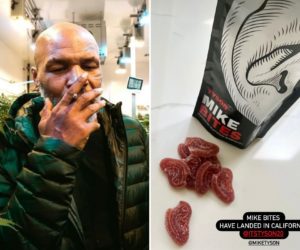 WTF – Mike Tyson commercialise des friandises au cannabis en forme d’oreille mordue (d’Evander Holyfield)