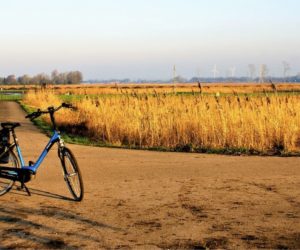 Randonnées en vélo électrique : des idées de parcours en France !