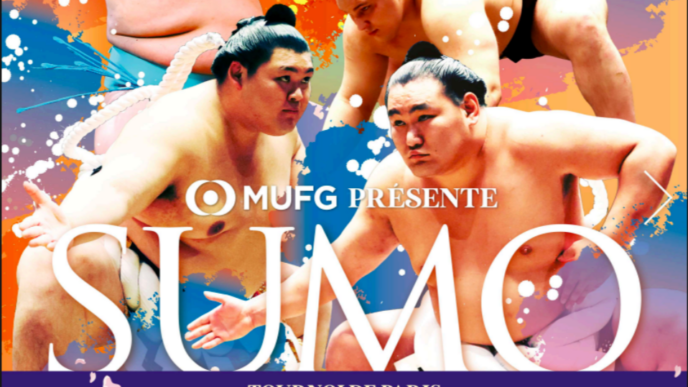 SUMO Paris