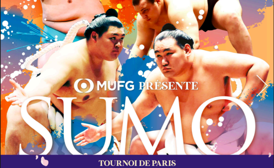 SUMO Paris